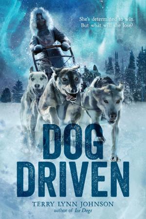 Cover of the book Dog Driven by Barbara Lehman