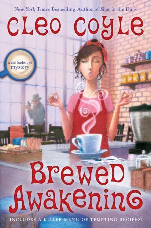 Cover of the book Brewed Awakening by S. L. Viehl