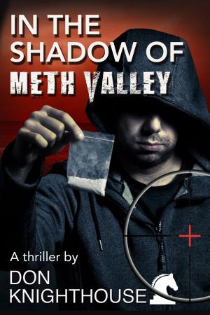 Cover of the book In the Shadow of Meth Valley by GAYLE MILLER