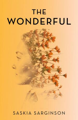 Cover of the book The Wonderful by Elisa Gentile