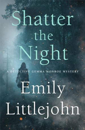Cover of the book Shatter the Night by Patrick Brigham