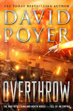 Cover of the book Overthrow by Christine Warren
