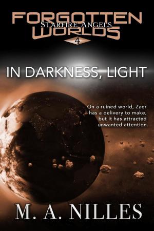 Cover of the book In Darkness, Light by M. A. Nilles