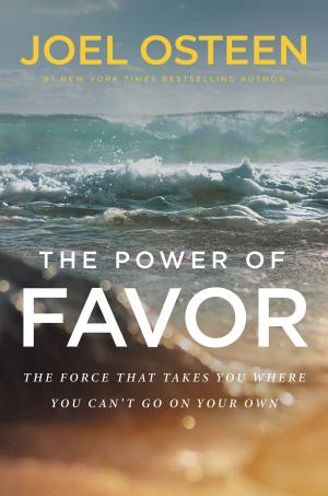 Cover of the book The Power of Favor by Rick Hamlin