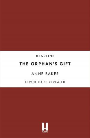 Cover of the book The Orphan's Gift by Andy McDermott