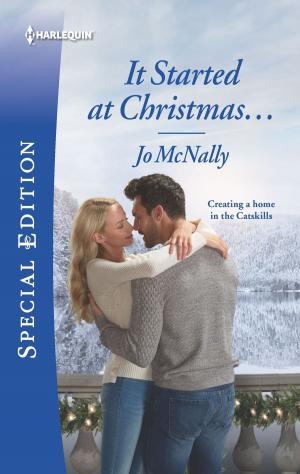 Cover of the book It Started at Christmas... by Mary Sullivan