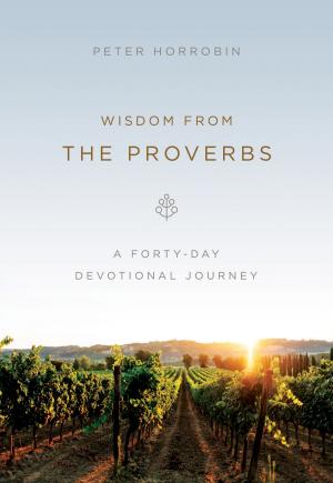 Book cover of Wisdom from the Proverbs