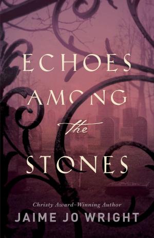 Cover of the book Echoes among the Stones by Gregory A. Boyd