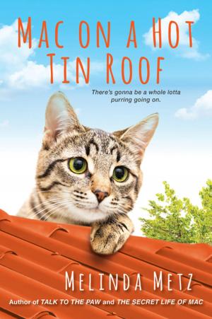Cover of the book Mac on a Hot Tin Roof by J.J. Murray