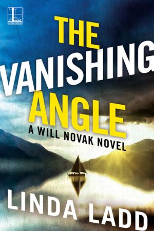 Book cover of The Vanishing Angle