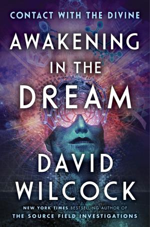Cover of the book Awakening in the Dream by Adam Lashinsky