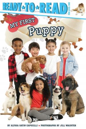 Cover of the book My First Puppy by Laurie Calkhoven