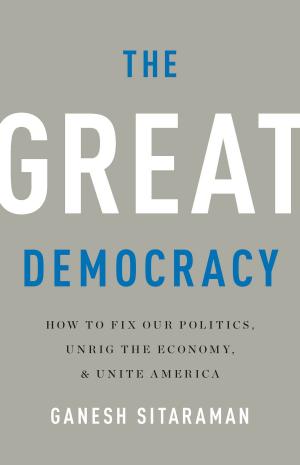 Cover of the book The Great Democracy by John Keay