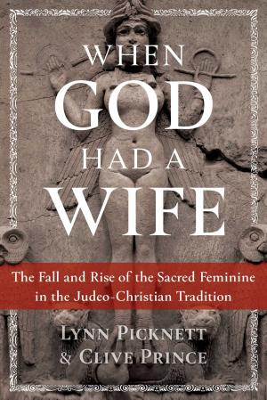 Book cover of When God Had a Wife