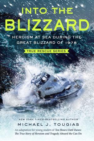 Book cover of Into the Blizzard