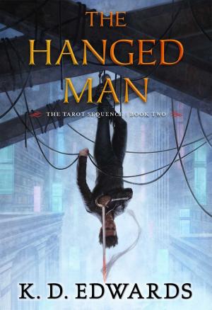 Cover of the book The Hanged Man by Erin Hoffman