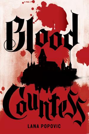 Cover of the book Blood Countess by Brent Hooey