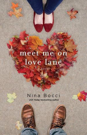 Cover of the book Meet Me on Love Lane by Fabian Black