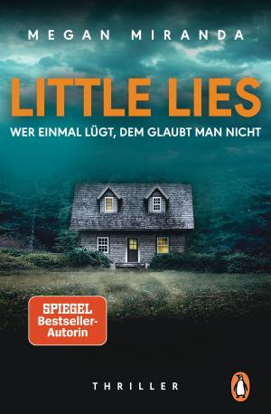 Cover of the book LITTLE LIES – Wer einmal lügt, dem glaubt man nicht by Harald Martenstein