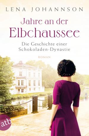 Cover of the book Jahre an der Elbchaussee by Thomas Brussig