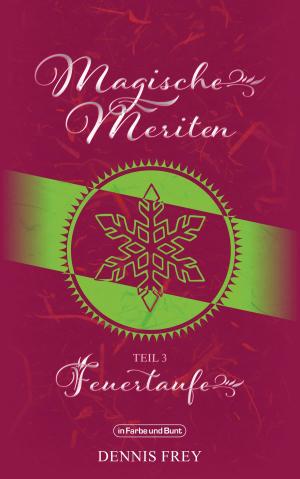 Cover of the book Magische Meriten - Teil 3: Feuertaufe by Jacqueline Mayerhofer, Weltenwandler