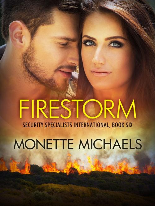 Cover of the book Firestorm by Monette Michaels, Monette Draper