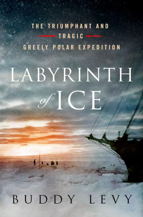 Cover of the book Labyrinth of Ice by Buddy Levy, St. Martin's Publishing Group