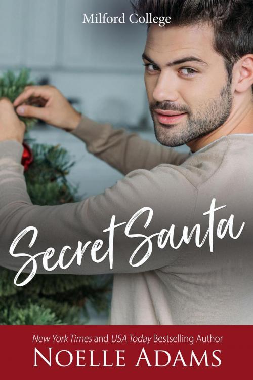 Cover of the book Secret Santa by Noelle Adams, Noelle Adams