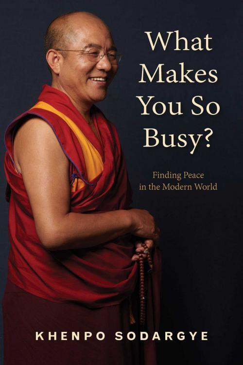 Cover of the book What Makes You So Busy? by Khenpo Sodargye, Wisdom Publications