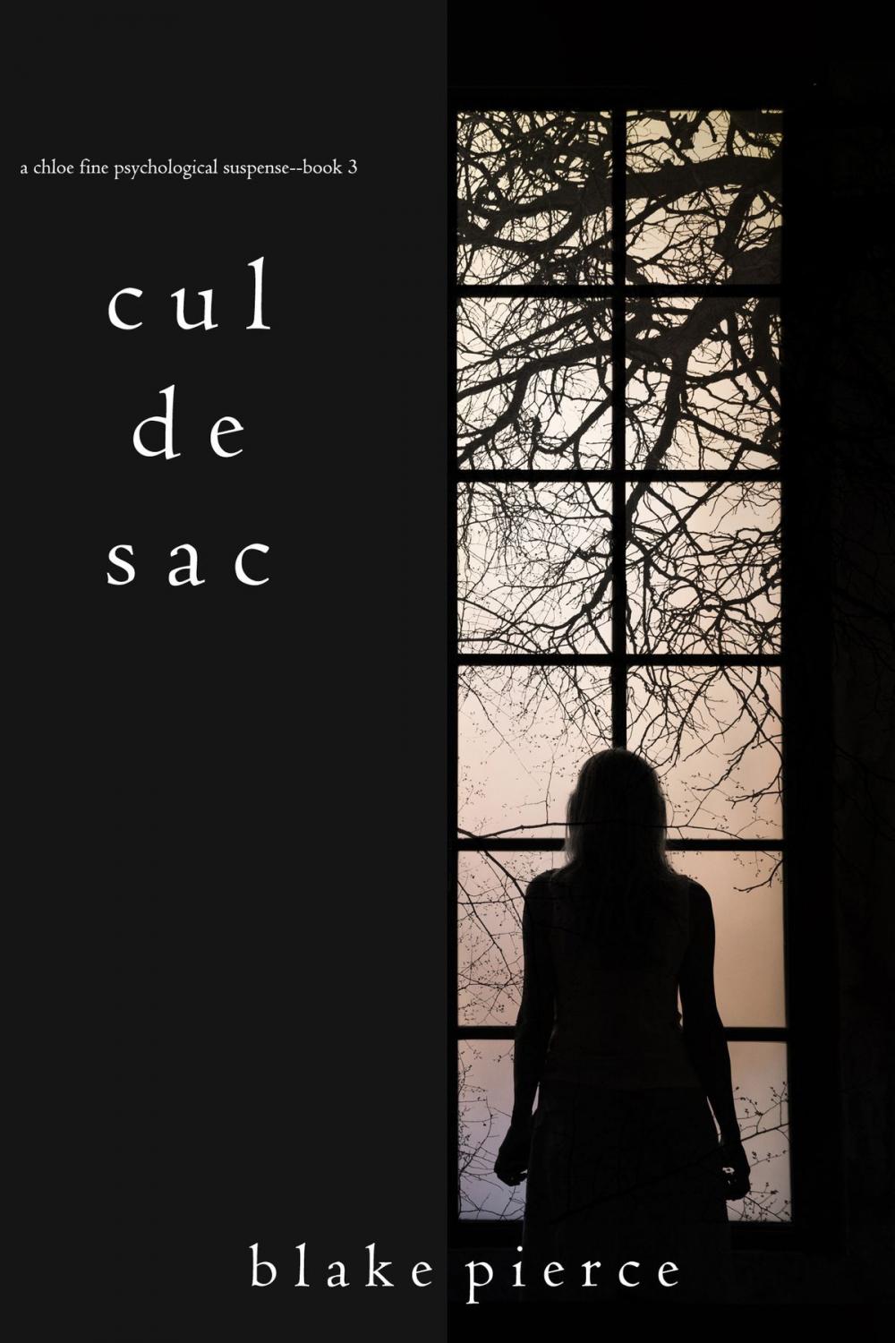 Big bigCover of Cul de Sac (A Chloe Fine Psychological Suspense Mystery—Book 3)