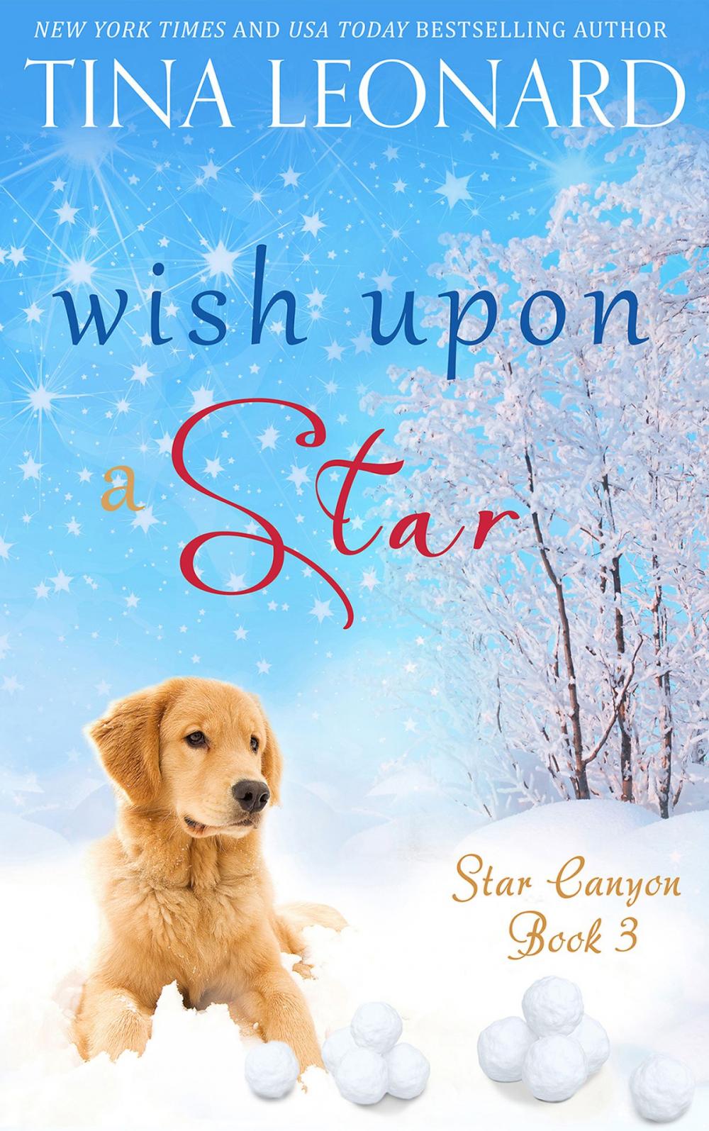 Big bigCover of Wish Upon a Star
