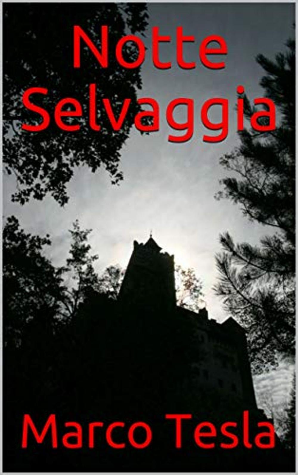 Big bigCover of Notte Selvaggia