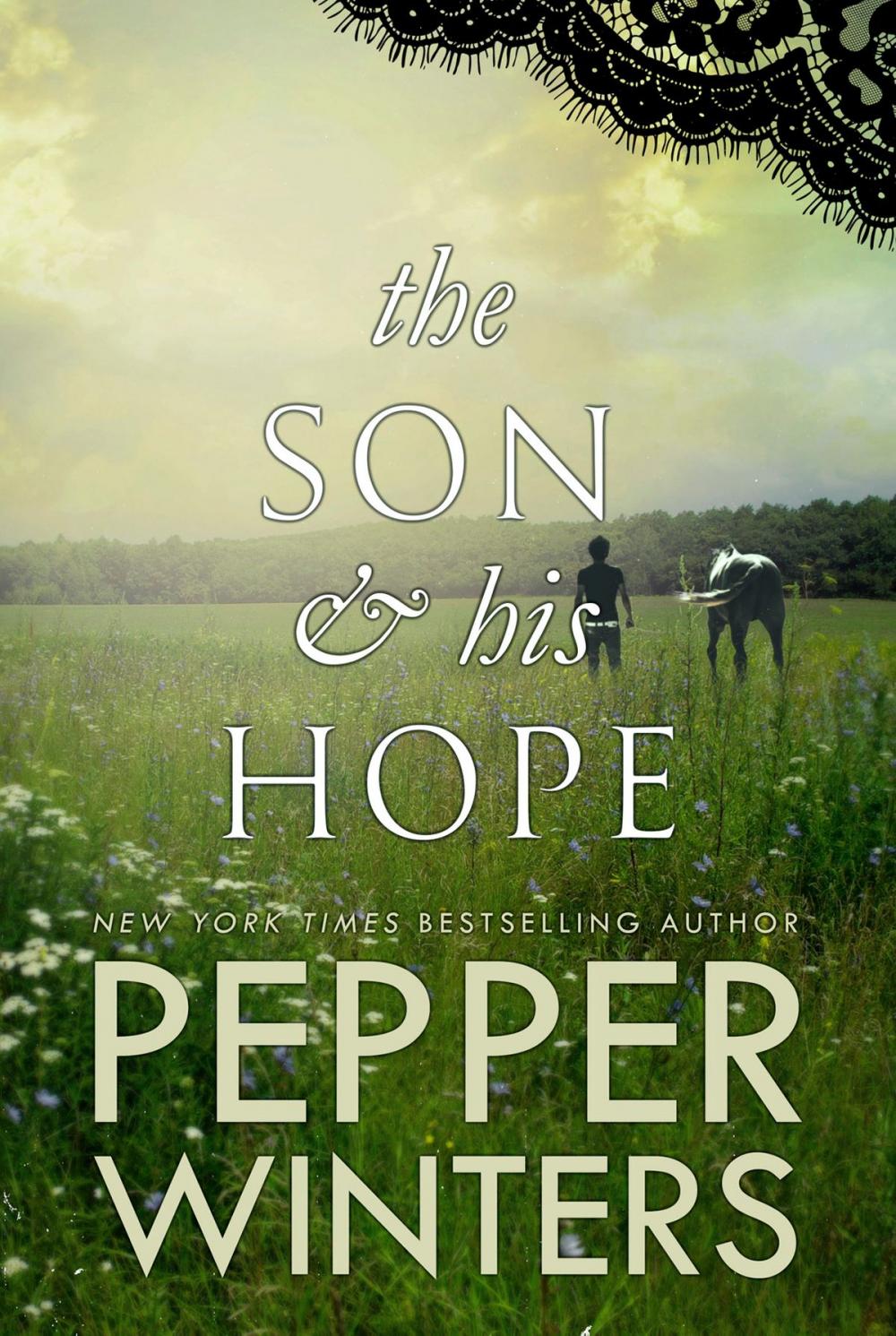 Big bigCover of The Son & His Hope