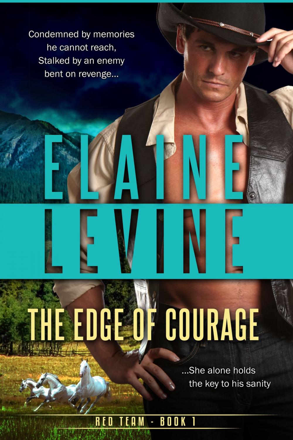 Big bigCover of The Edge of Courage
