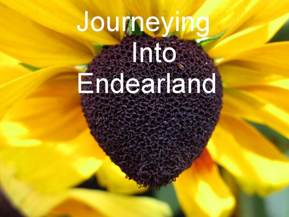 Big bigCover of Journeying Into Endearland