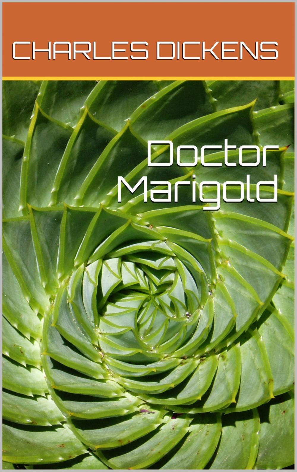 Big bigCover of Doctor Marigold