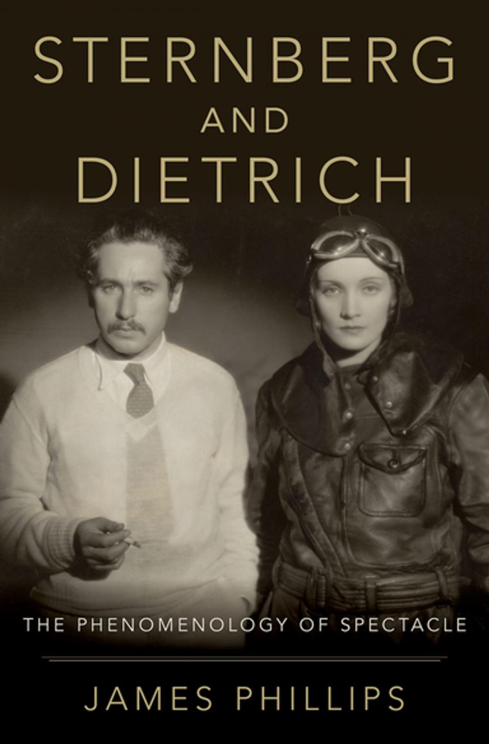 Big bigCover of Sternberg and Dietrich