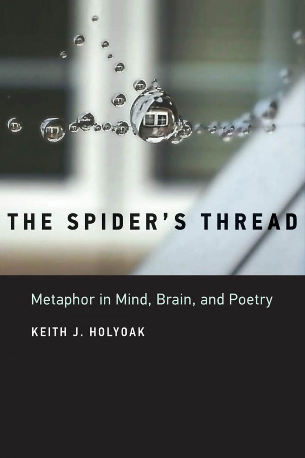 Big bigCover of The Spider's Thread