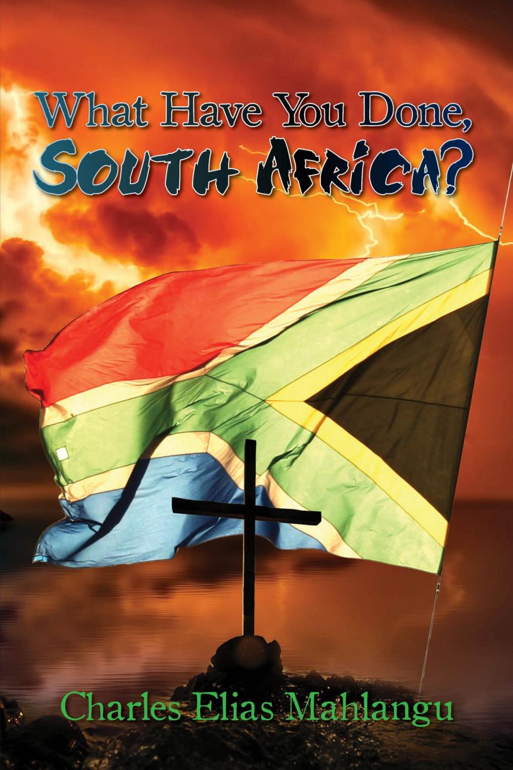 Big bigCover of What Have You Done, South Africa?