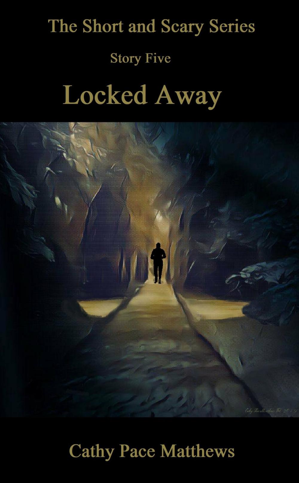 Big bigCover of 'The Short and Scary Series' Locked Away
