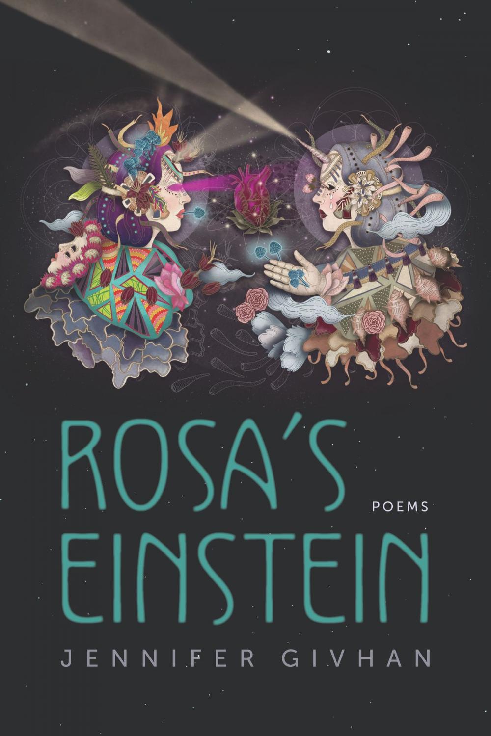 Big bigCover of Rosa's Einstein