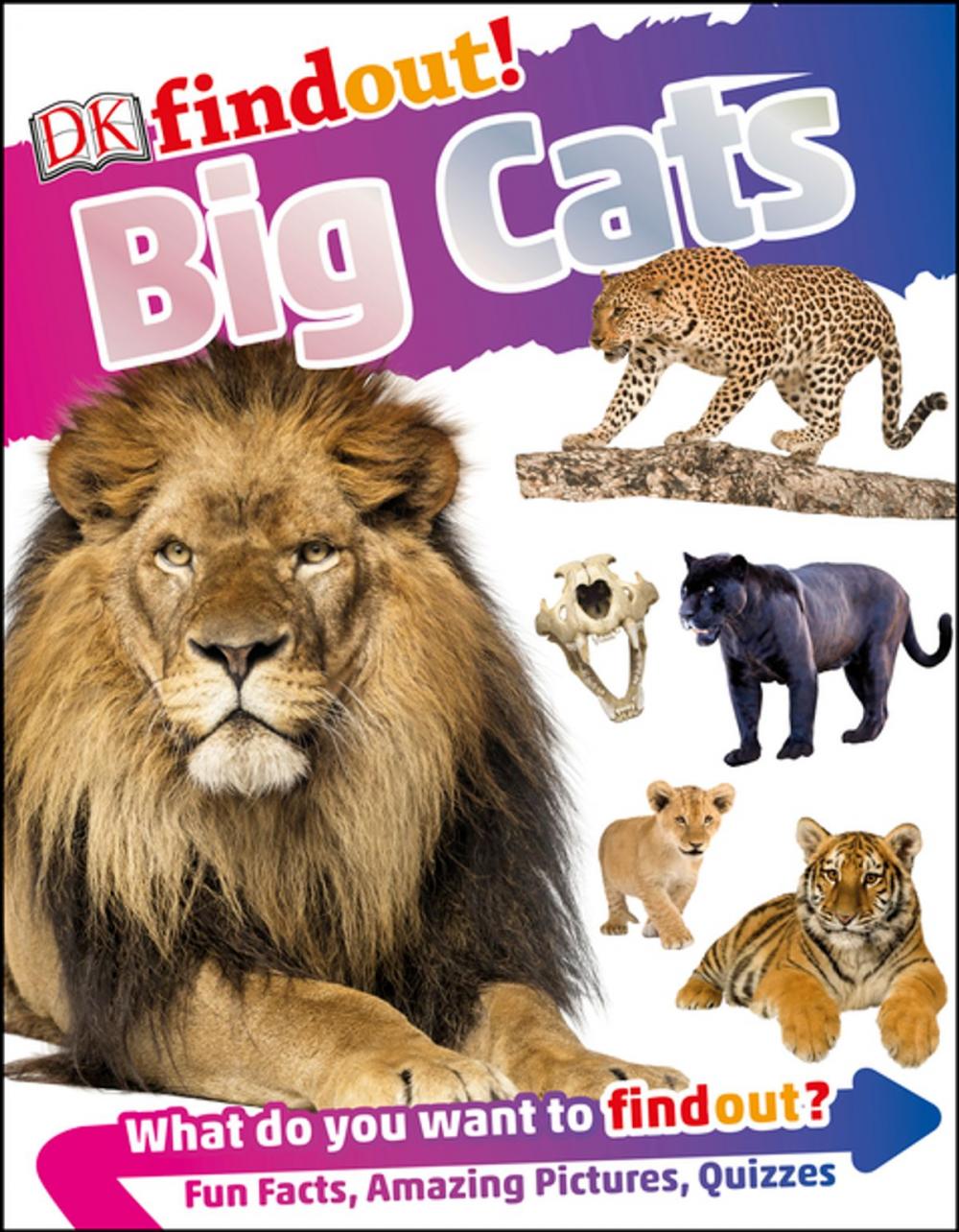 Big bigCover of DKfindout! Big Cats
