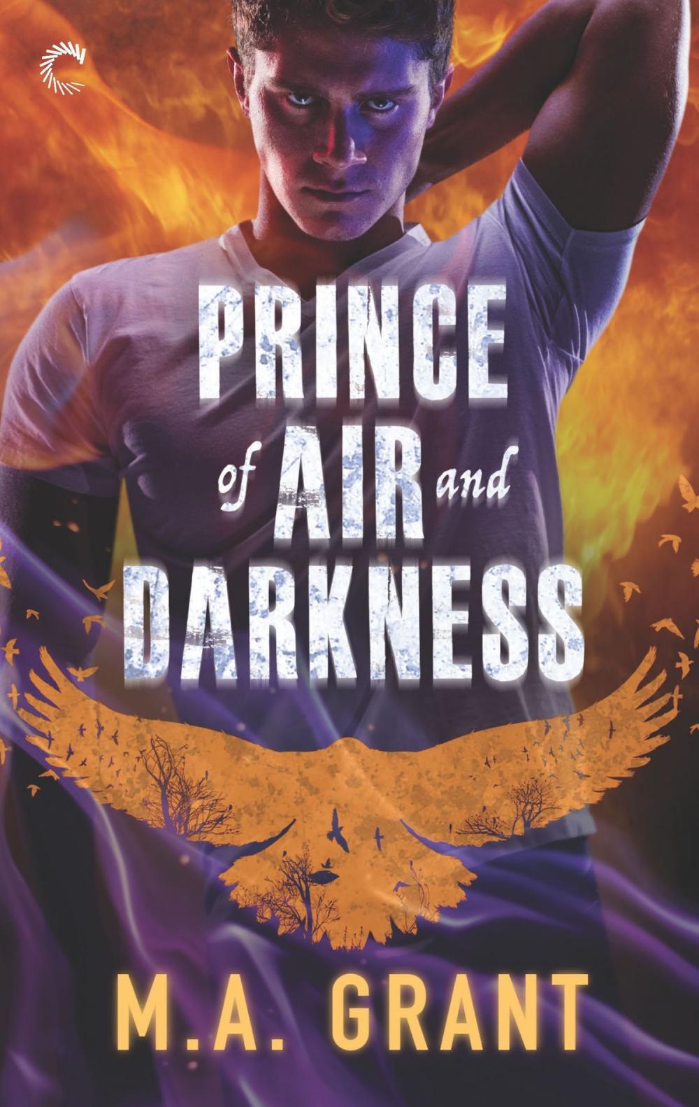 Big bigCover of Prince of Air and Darkness