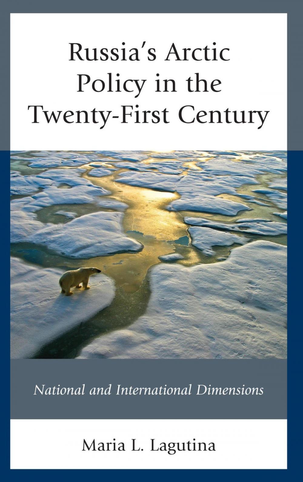 Big bigCover of Russia's Arctic Policy in the Twenty-First Century