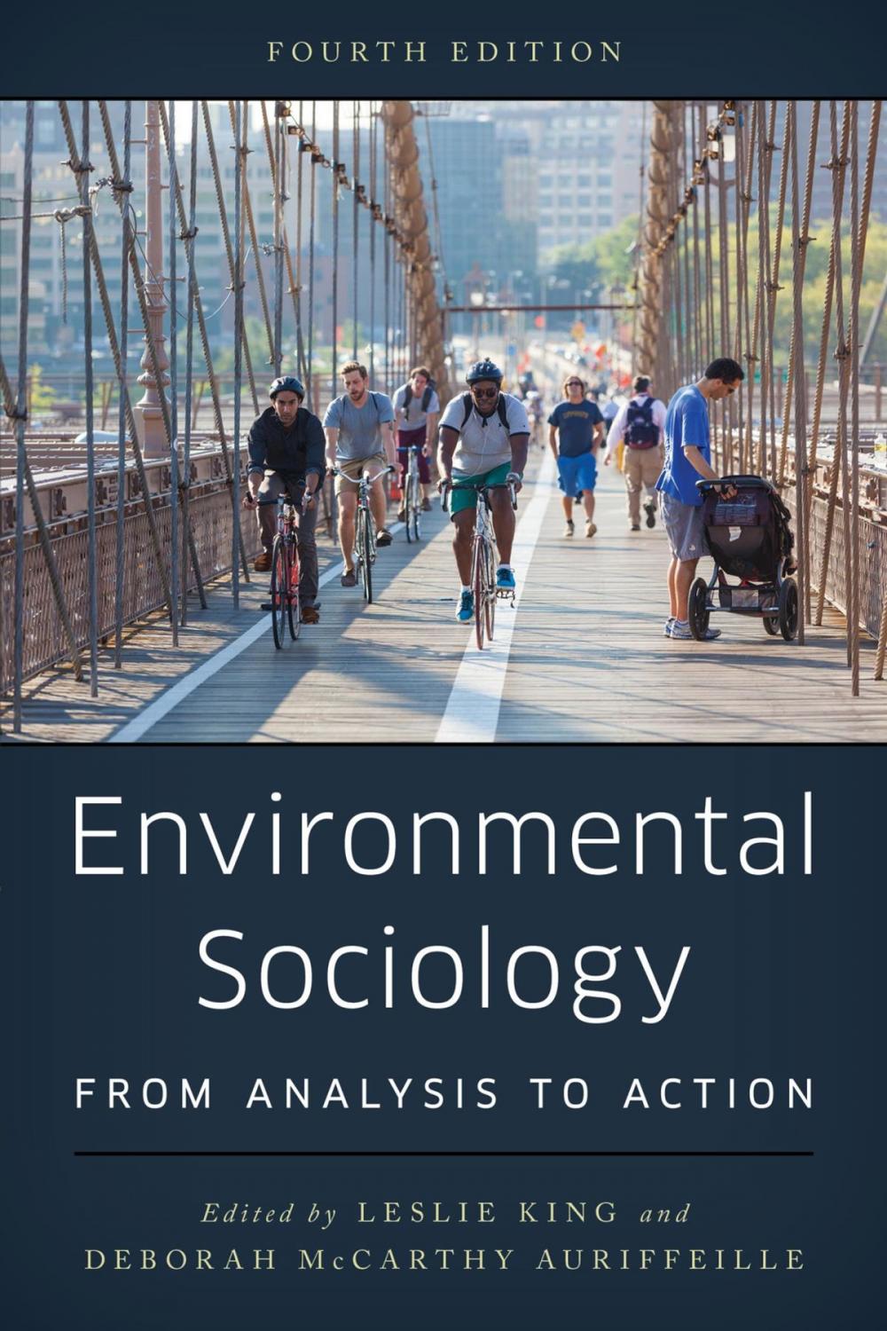 Big bigCover of Environmental Sociology