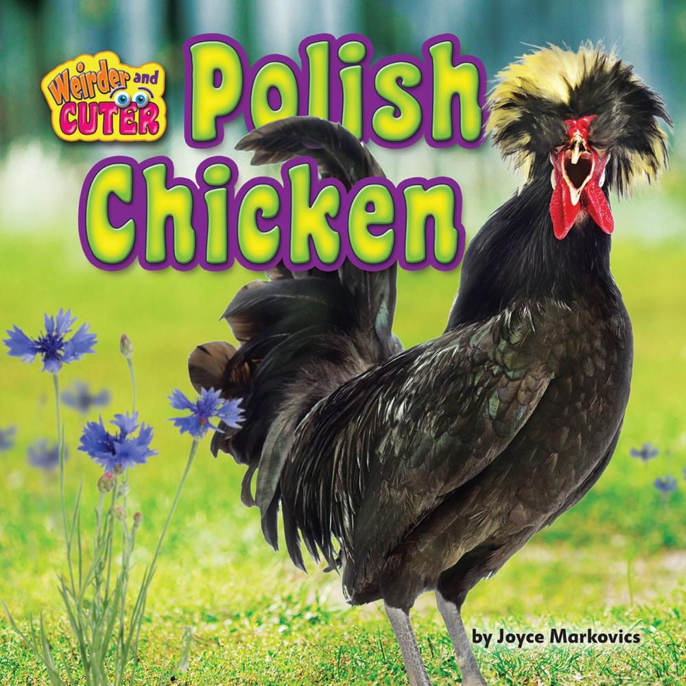 Big bigCover of Polish Chicken