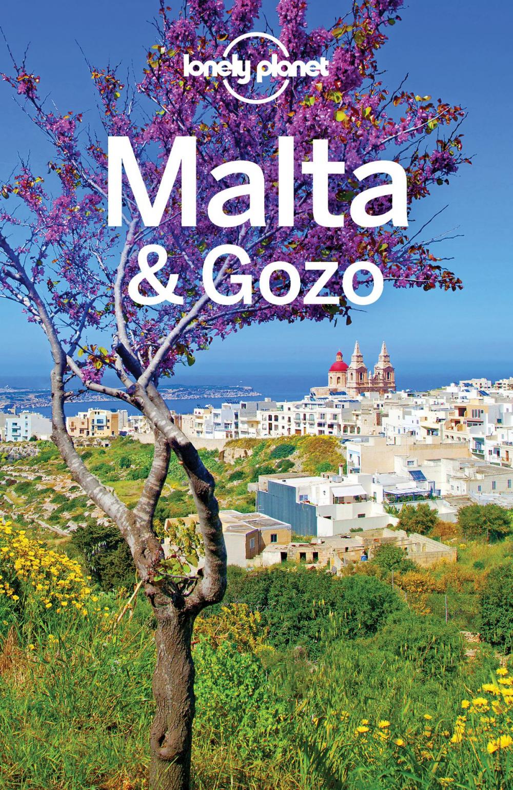 Big bigCover of Lonely Planet Malta & Gozo