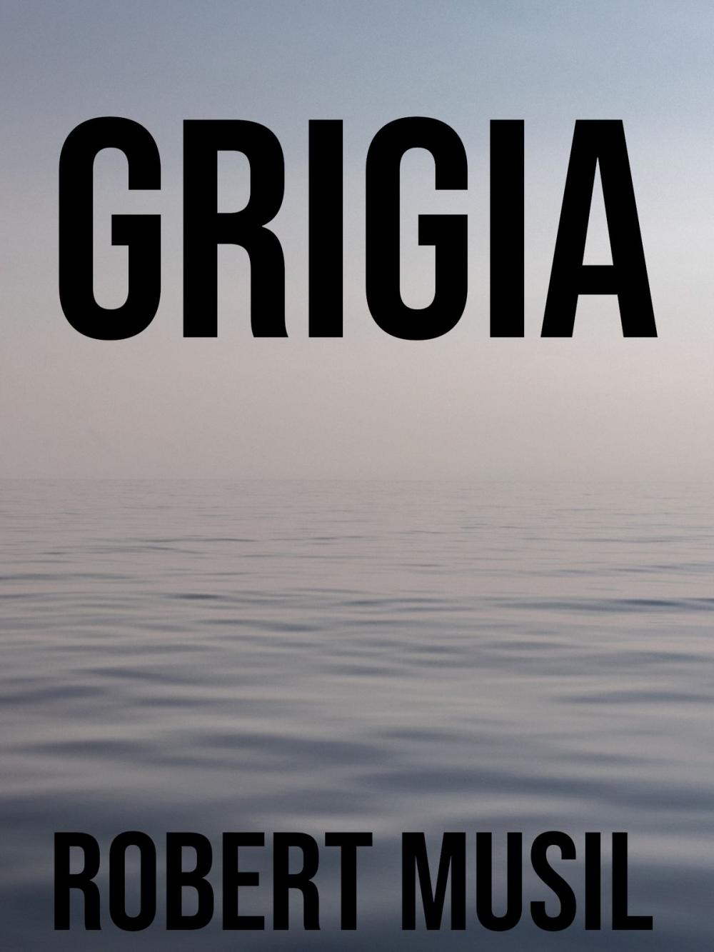 Big bigCover of Grigia