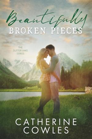 Book cover of Beautifully Broken Pieces