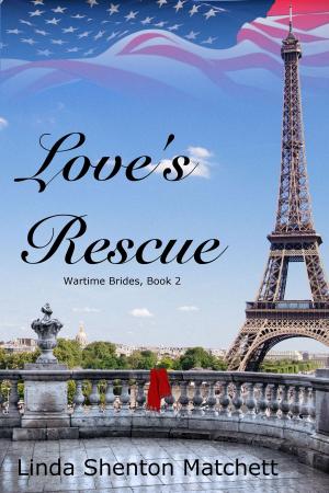 Book cover of Love's Rescue